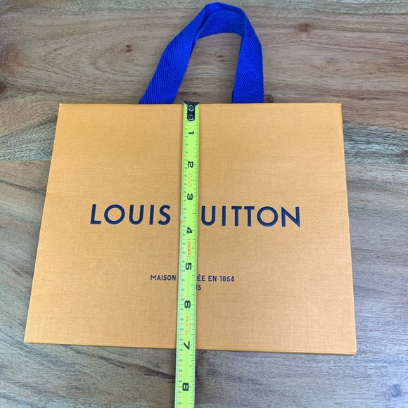 Louis Vuitton Box, Dust Bag and Shopping Bag - Picture 10 of 13